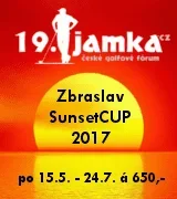 19sunsetcup.webp