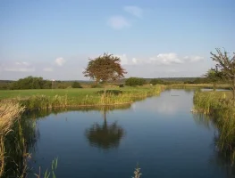 Benátky nad Jizerou