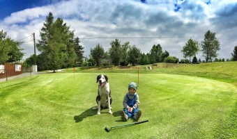 Deníček golfového manažera 12. – Košík na čumák!